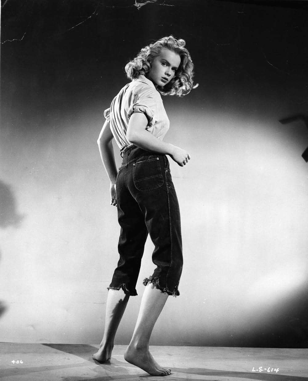 路上のライオンの画像