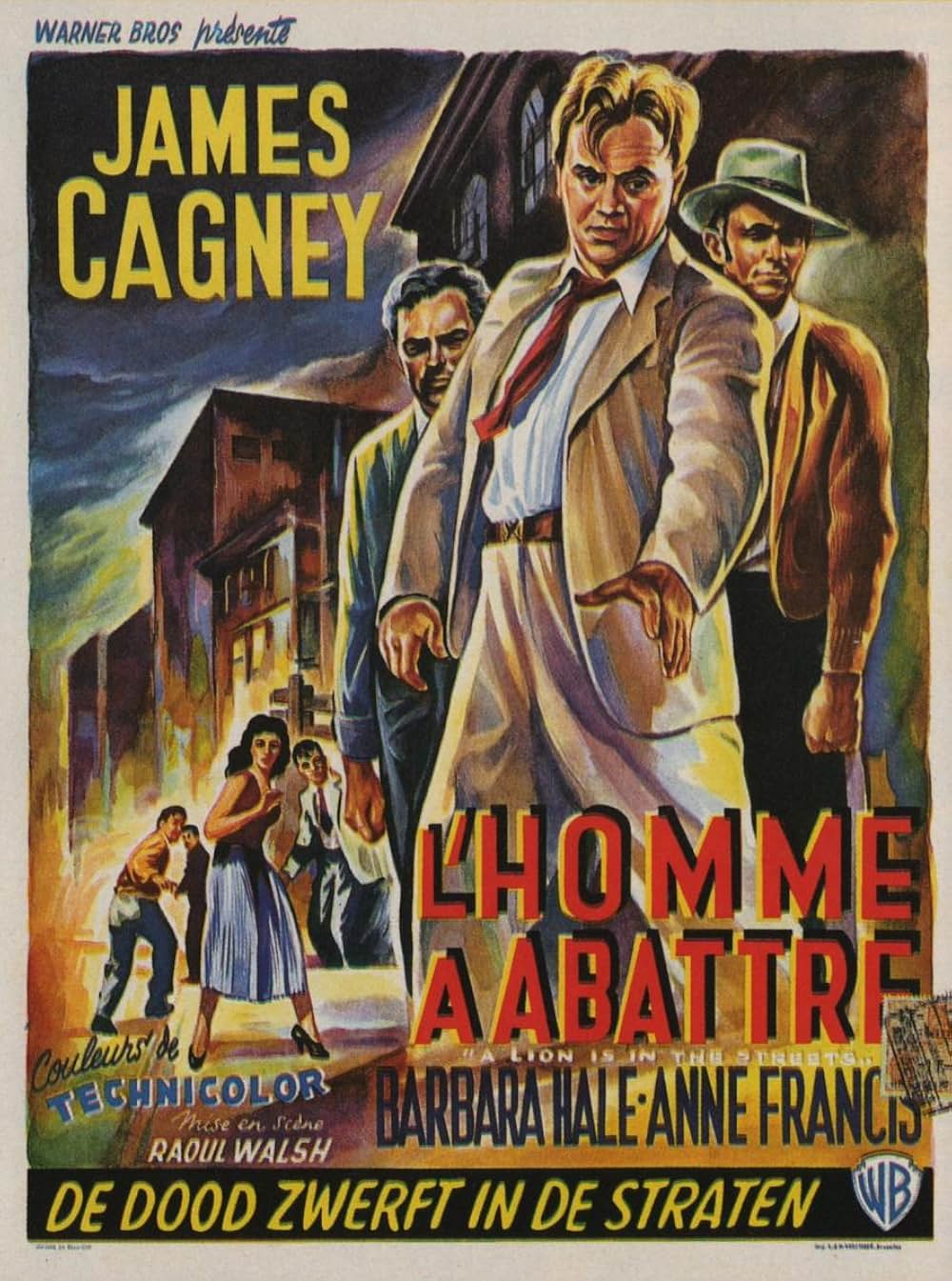 路上のライオンの画像