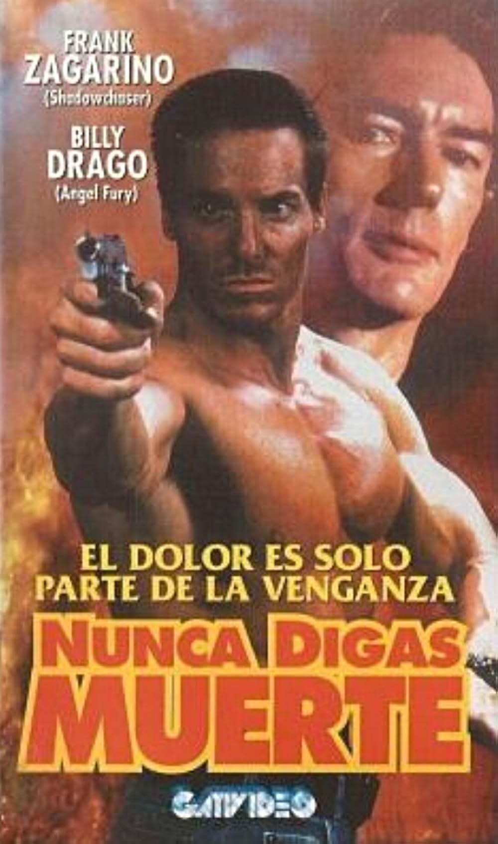 ネバー・セイ・ダイ／地獄のデルタ・フォースの画像