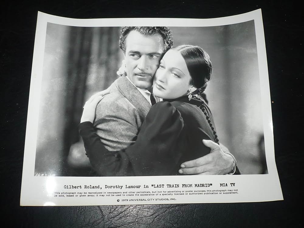 マドリッド最終列車の画像