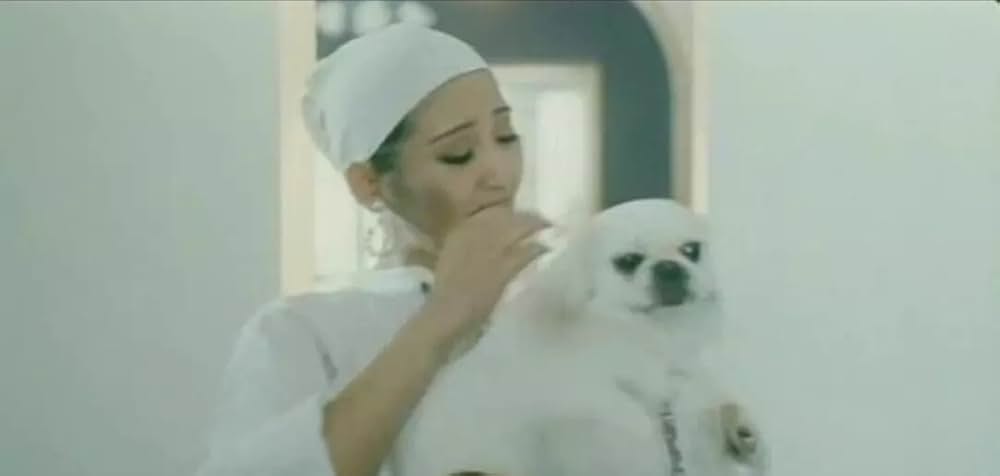 夢の請負人の画像