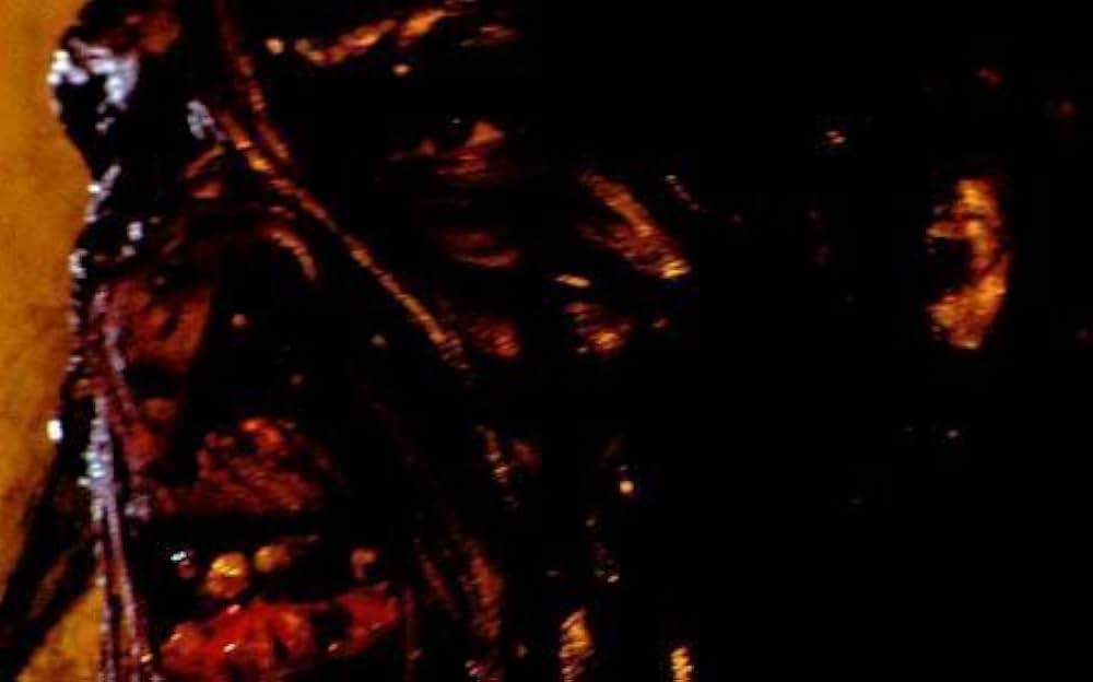 ディセントXの画像