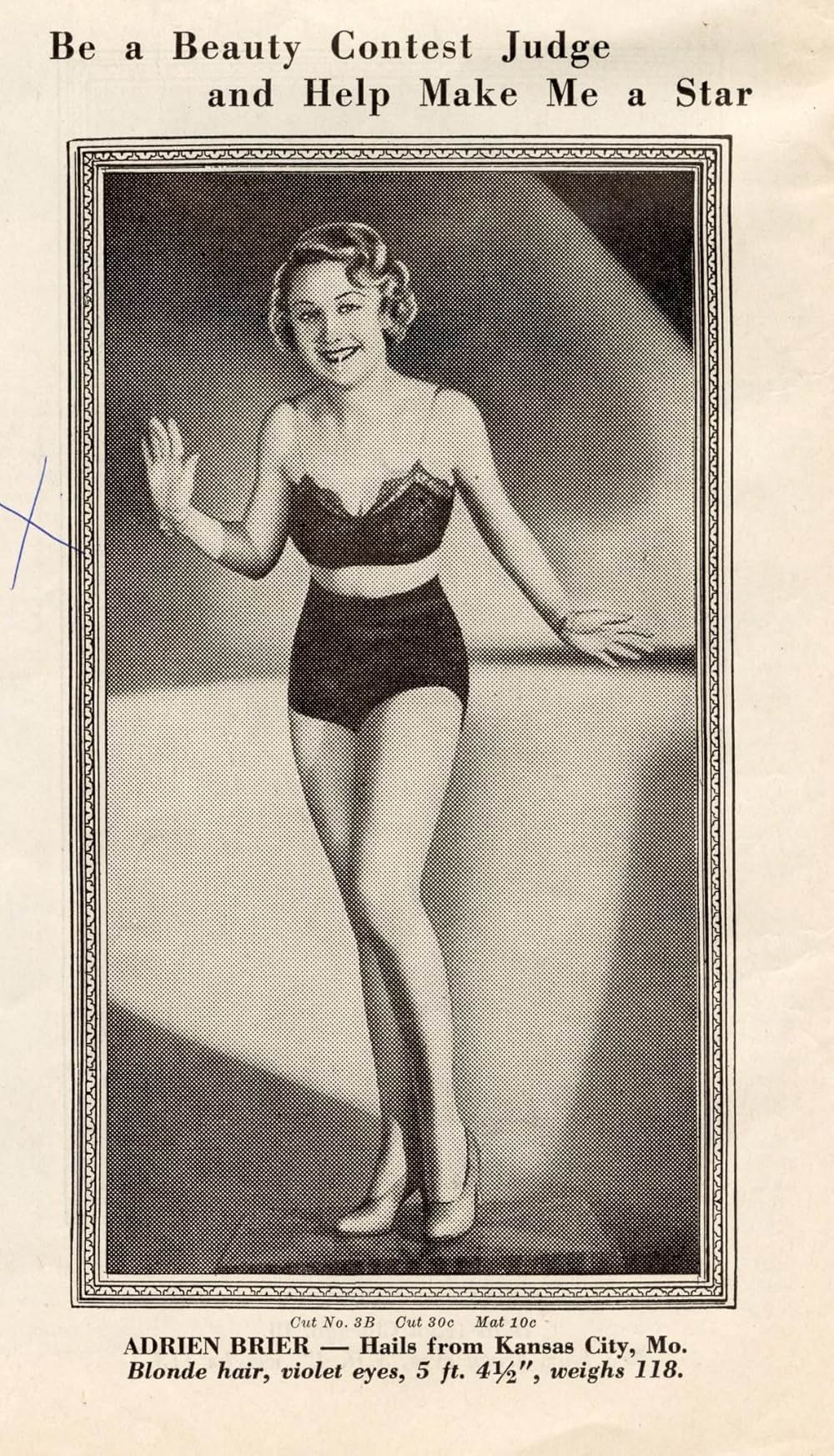 ゴールド・ディガースの画像