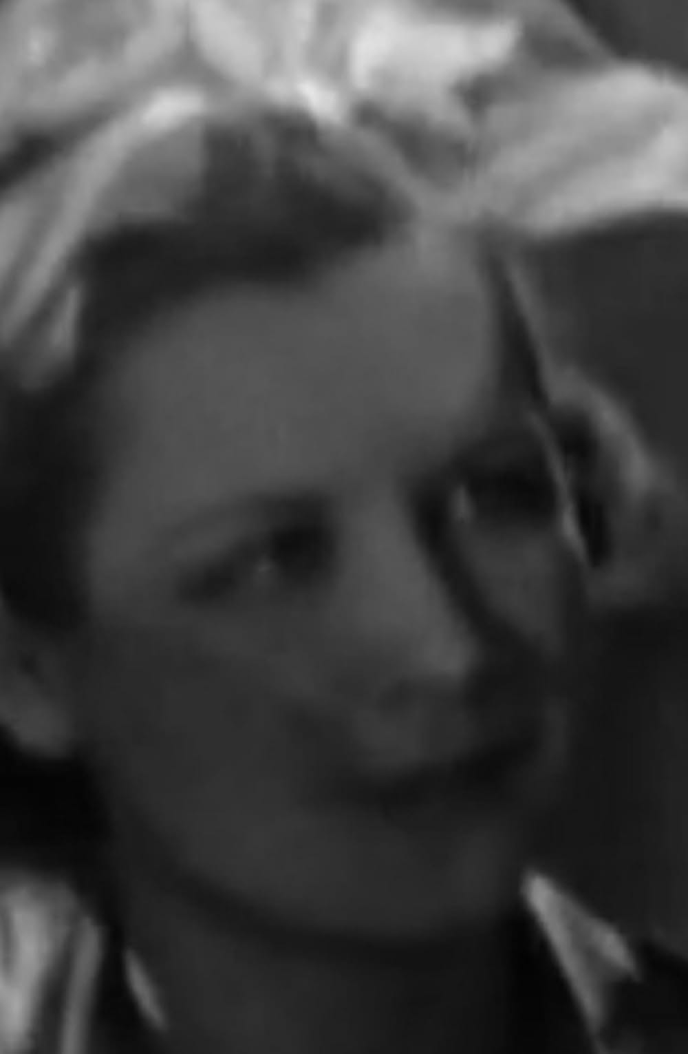 ゴールド・ディガースの画像