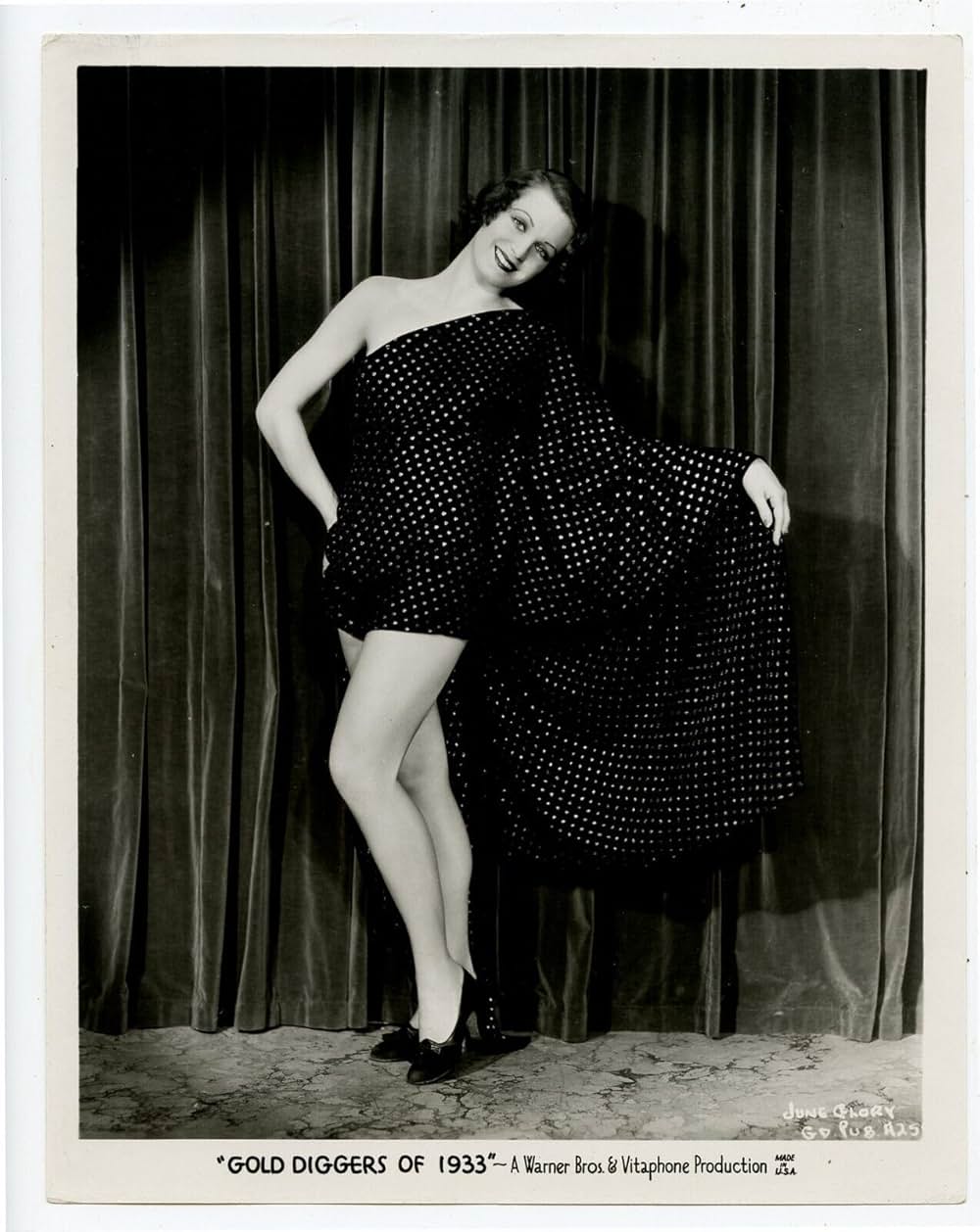 ゴールド・ディガースの画像