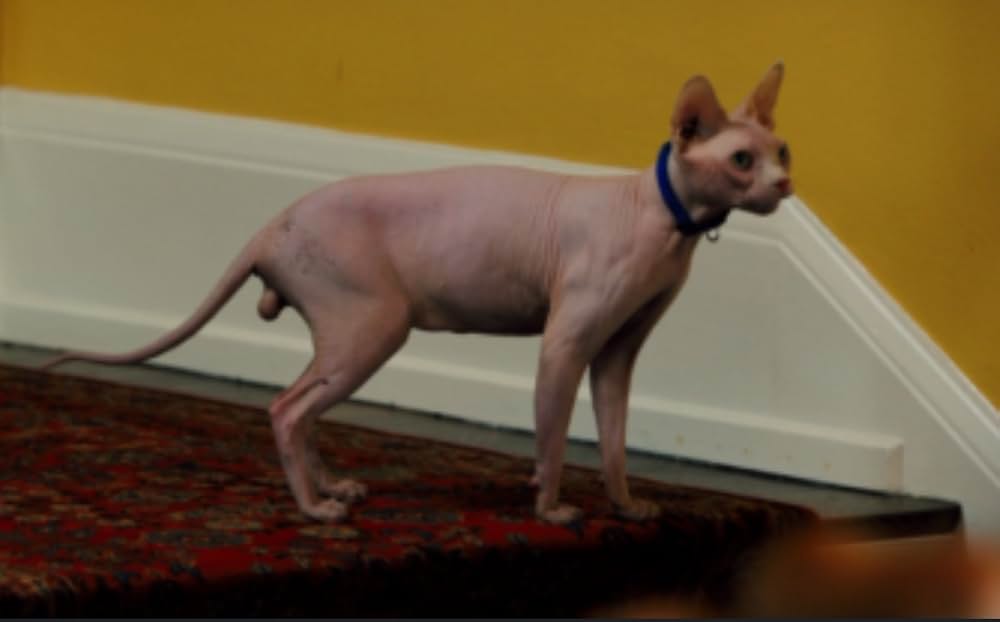 アイ ノウ フー キルド ミー（原題）の画像