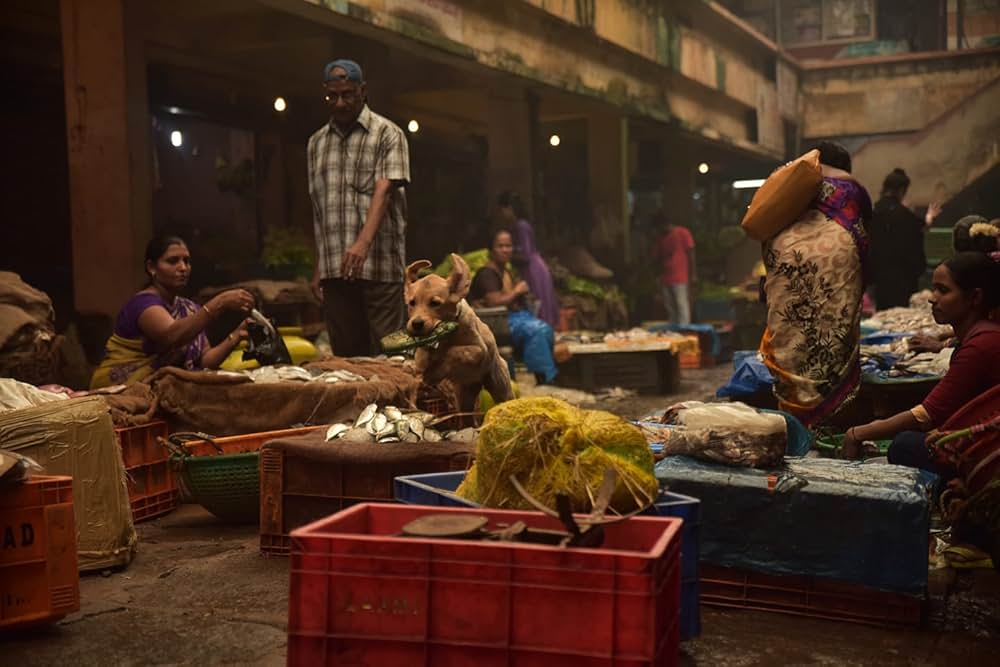 チャーリーの画像