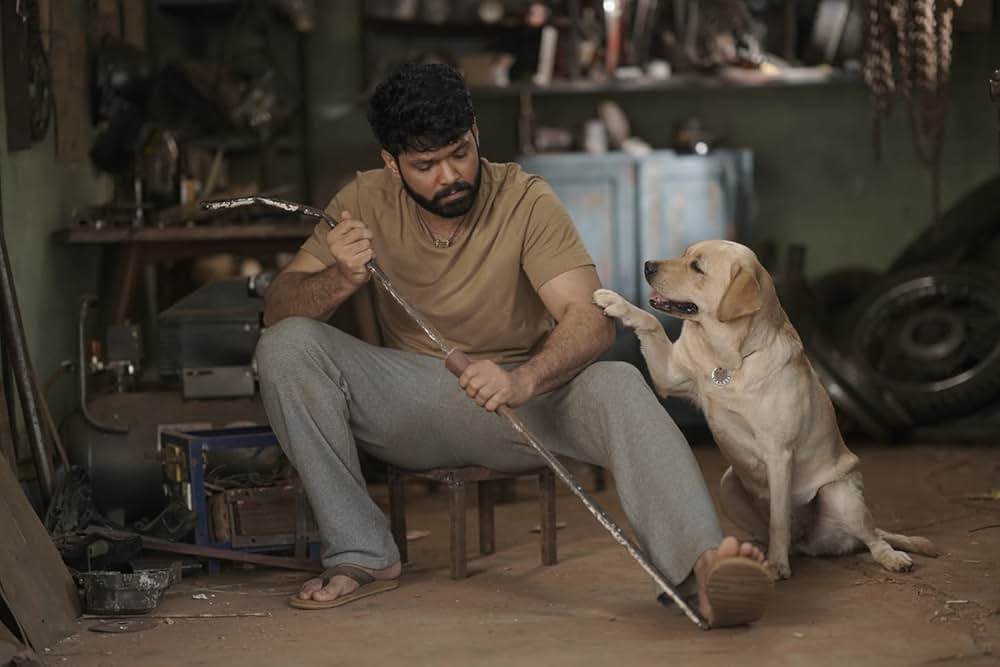 チャーリーの画像