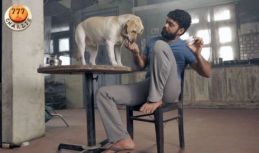 チャーリーの画像