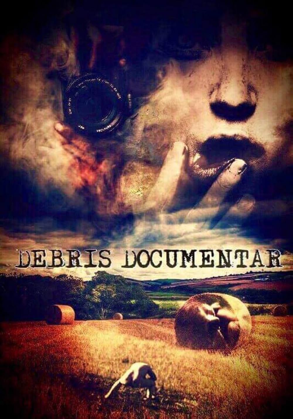 Debris Documentar（原題）の写真