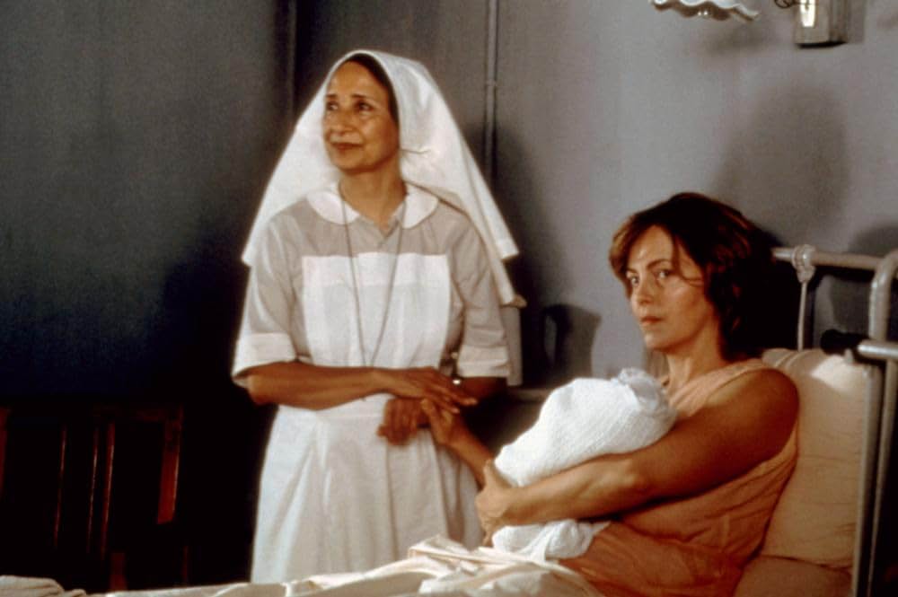 コットン・メリーの画像