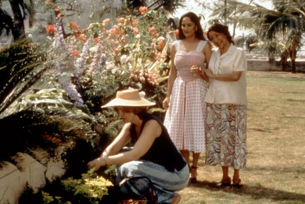 コットン・メリーの画像