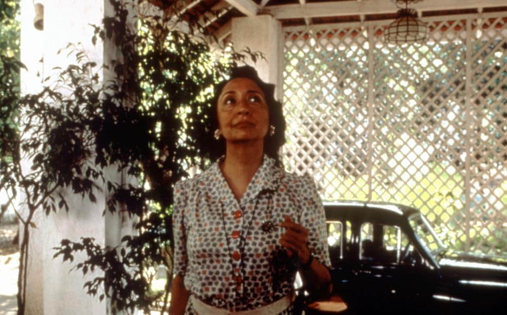 コットン・メリーの画像