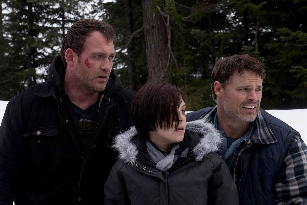 ザ・アイスの画像