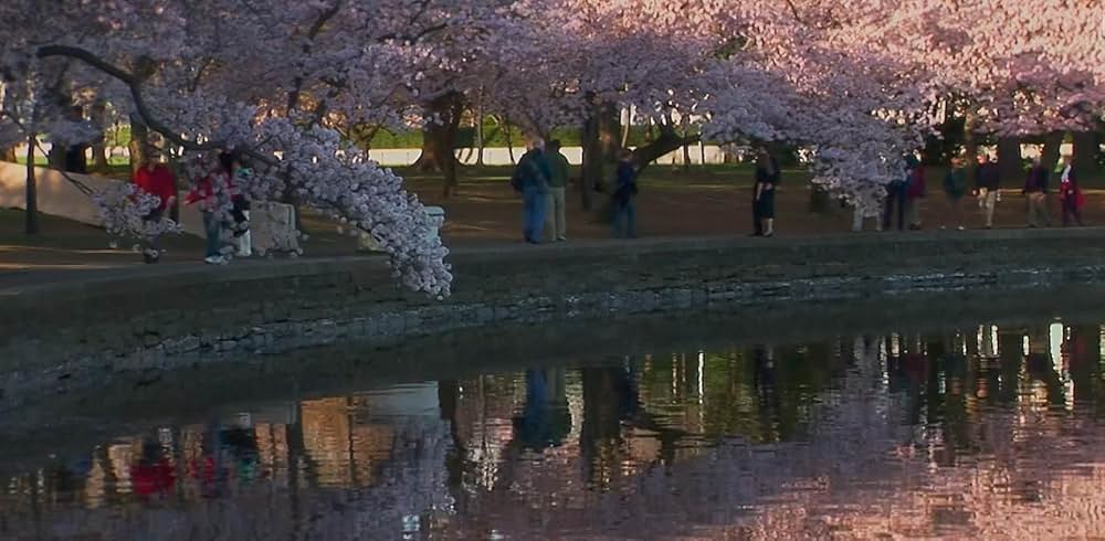 Family Romance, LLC（英題）の画像