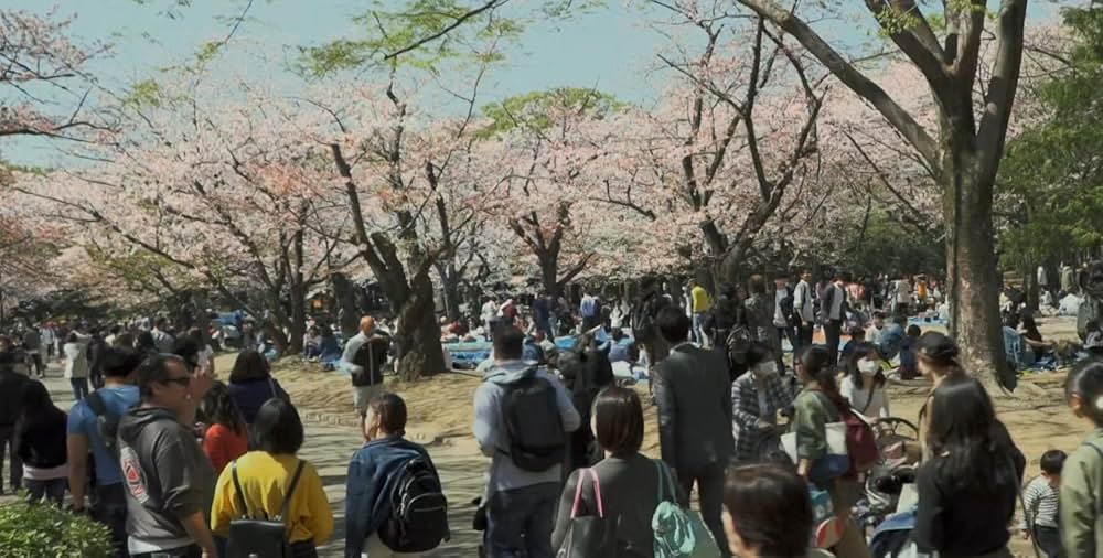 Family Romance, LLC（英題）の画像