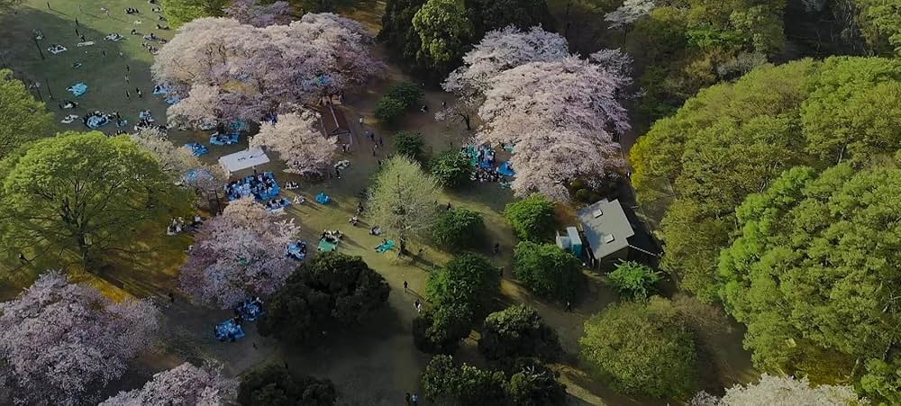 Family Romance, LLC（英題）の画像