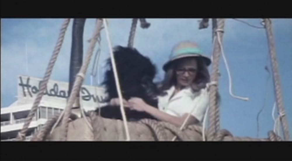 キング・カンフー／コングキングの逆襲の画像