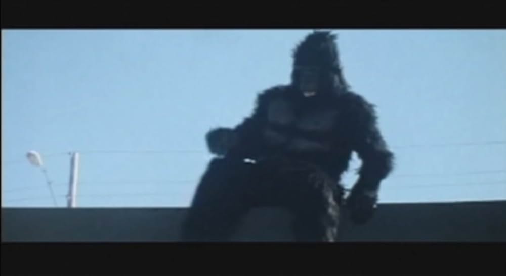 キング・カンフー／コングキングの逆襲の画像