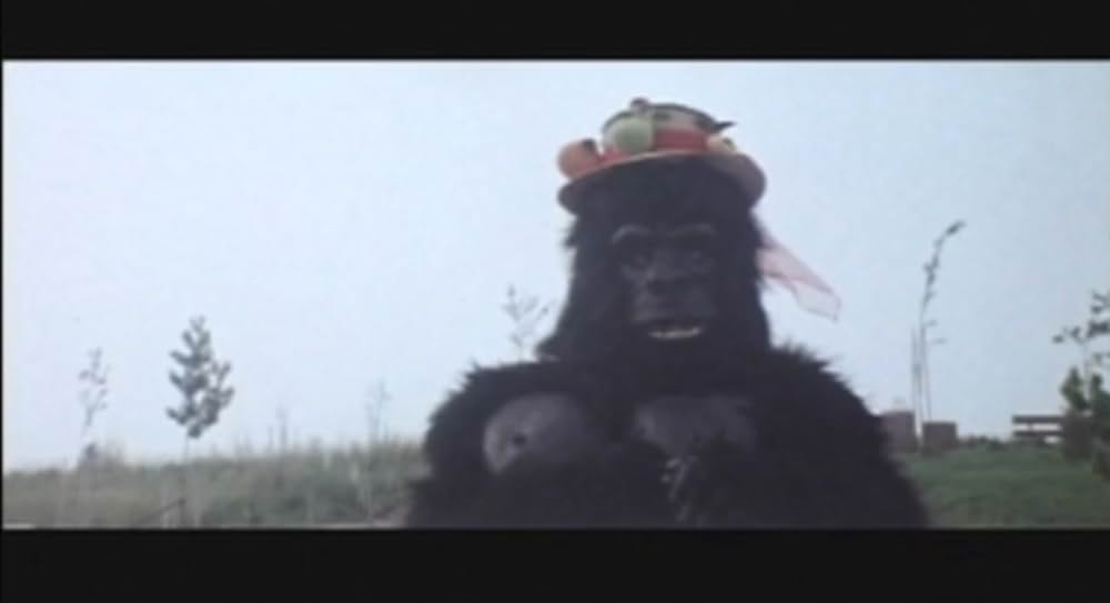 キング・カンフー／コングキングの逆襲の画像