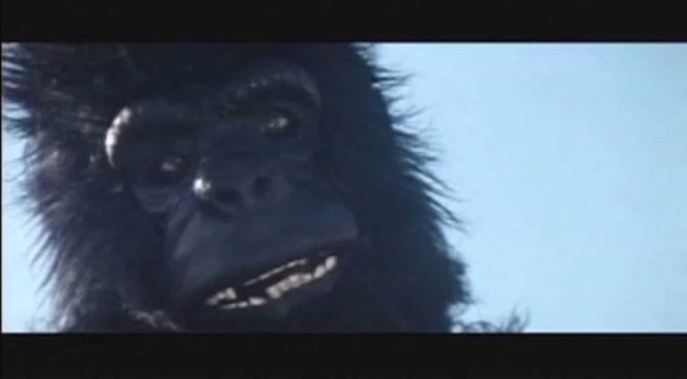 キング・カンフー／コングキングの逆襲の画像