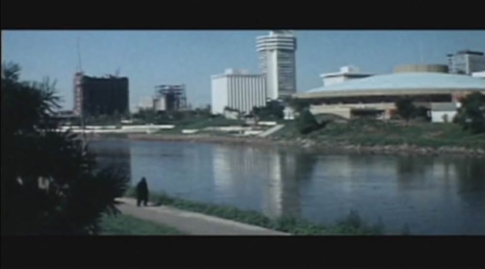 キング・カンフー／コングキングの逆襲の画像