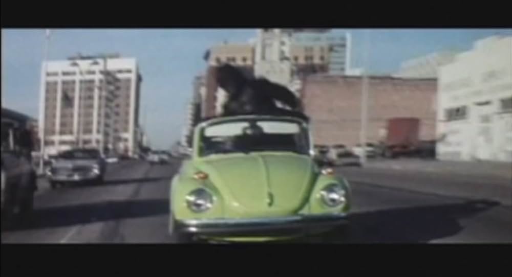 キング・カンフー／コングキングの逆襲の画像