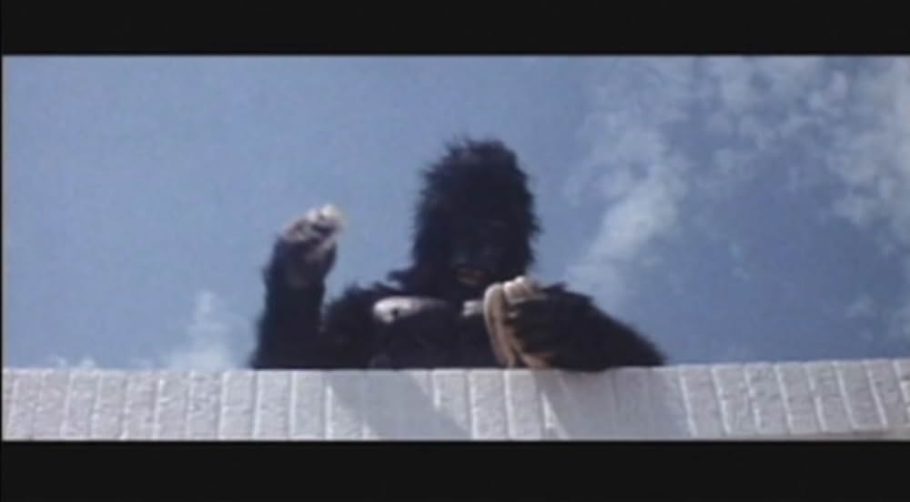 キング・カンフー／コングキングの逆襲の画像