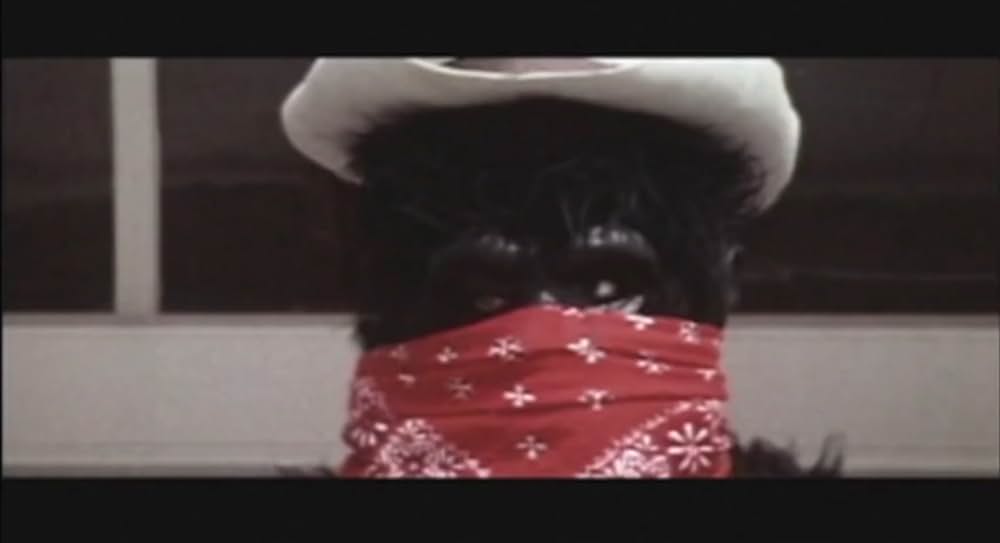 キング・カンフー／コングキングの逆襲の画像