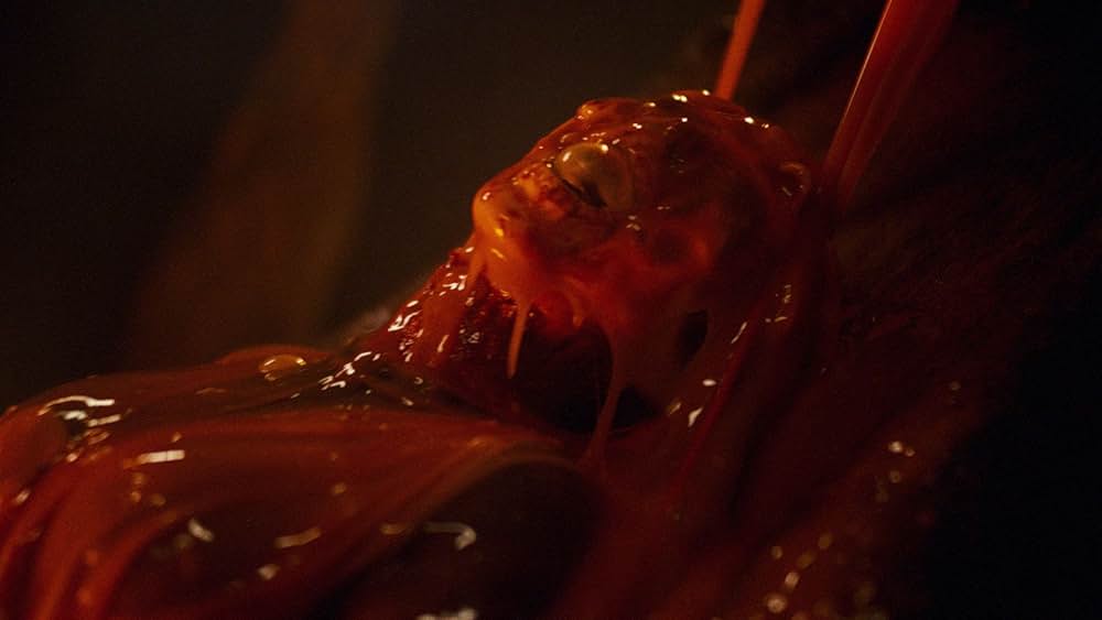 Kids vs. Aliens（原題）の画像