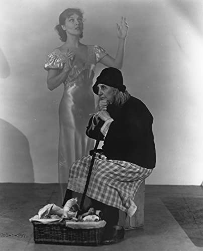 一日だけの淑女の画像