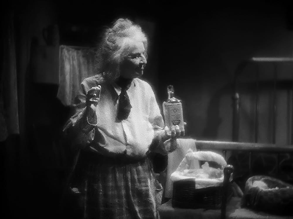 一日だけの淑女の画像