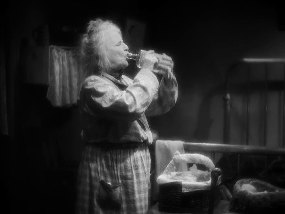 一日だけの淑女の画像