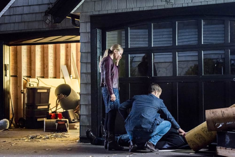 リフォーム探偵シャノン ドリームハウス殺人事件の画像