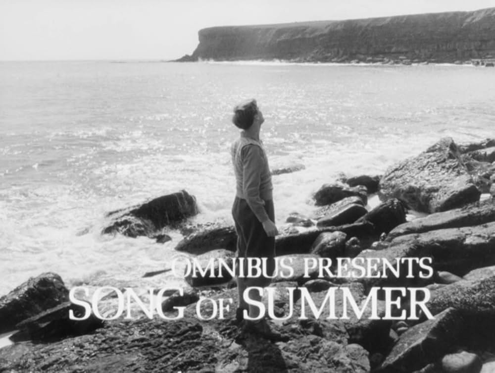 ソング・オブ・サマーの写真