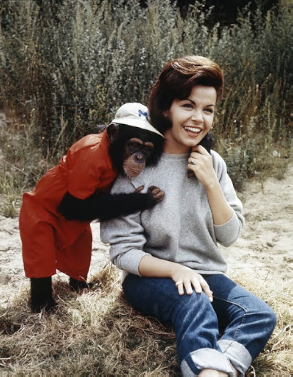 「The Monkey's Uncle（原題）」の画像