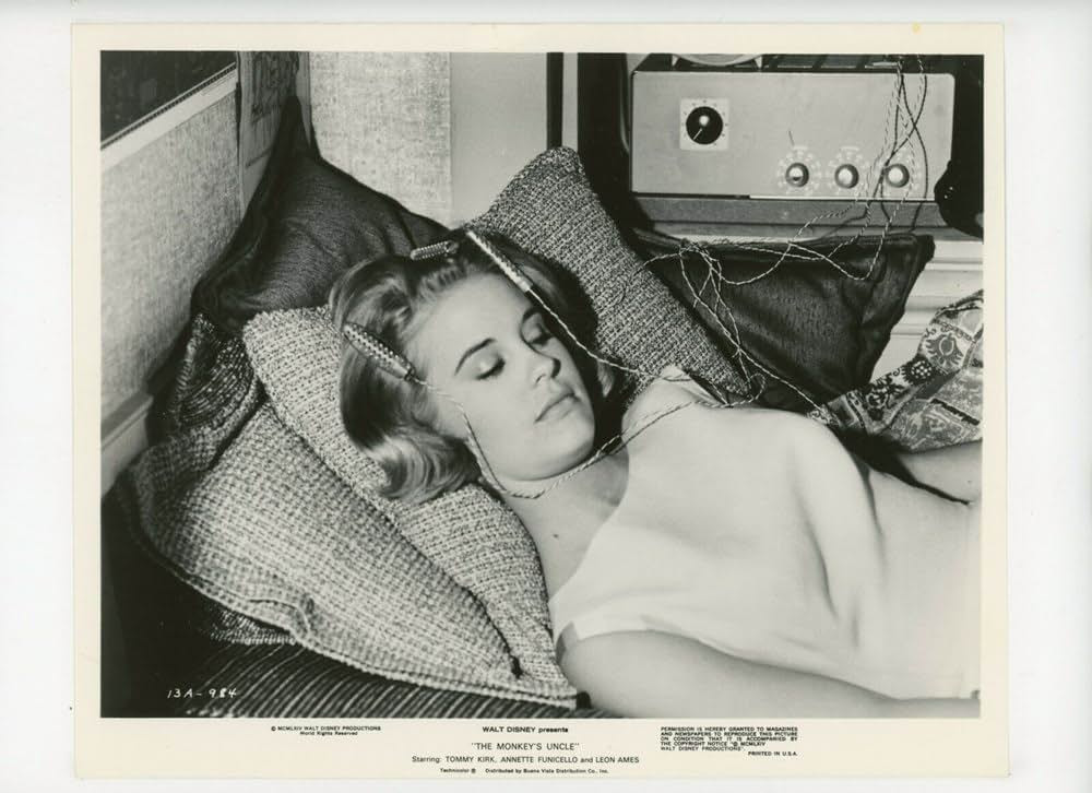 The Monkey's Uncle（原題）の画像