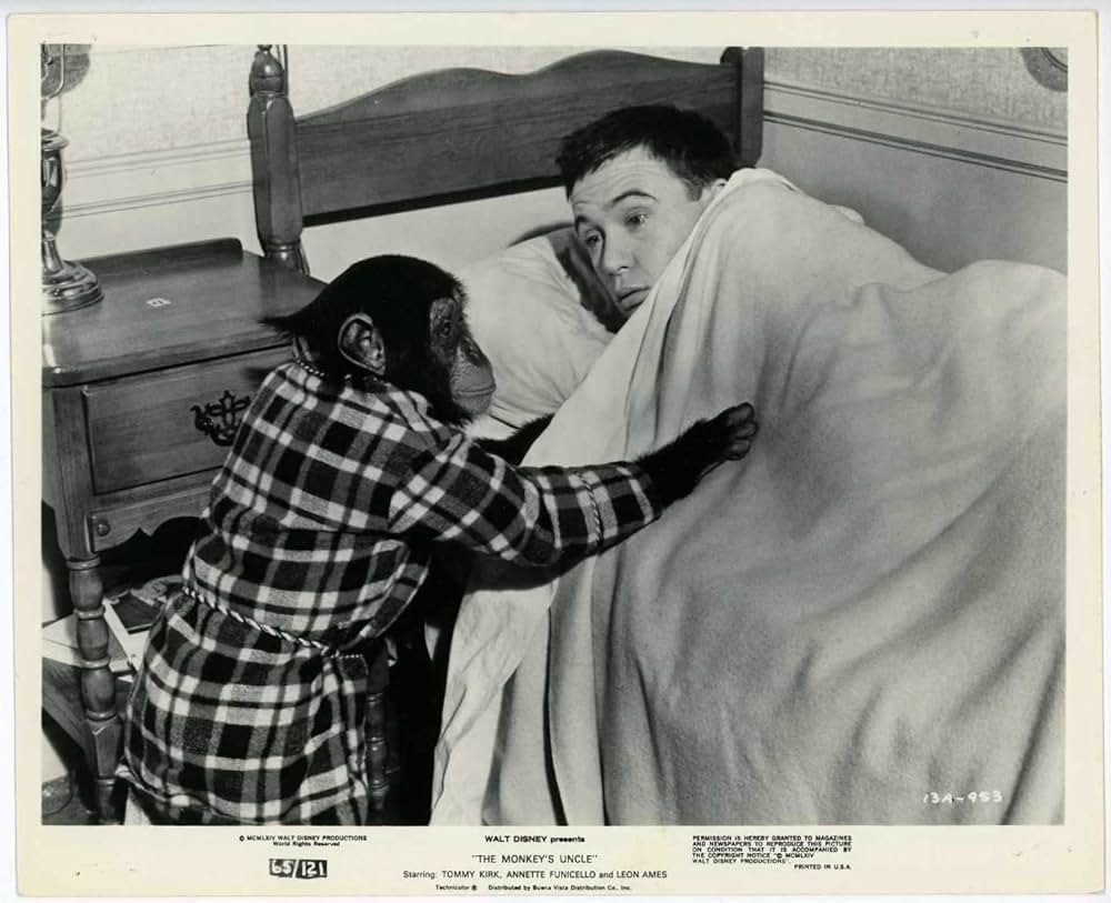 The Monkey's Uncle（原題）の画像