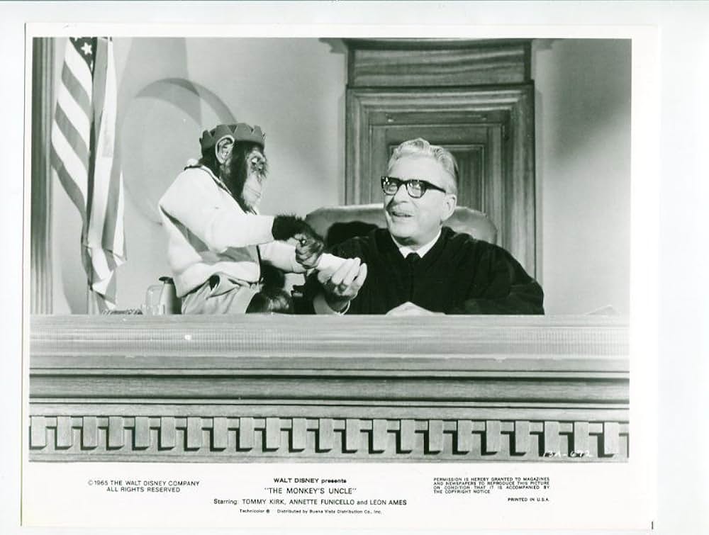 The Monkey's Uncle（原題）の画像