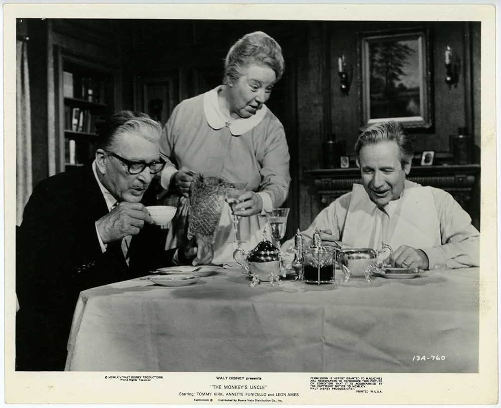 The Monkey's Uncle（原題）の画像