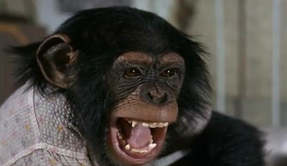 「The Monkey's Uncle（原題）」の画像
