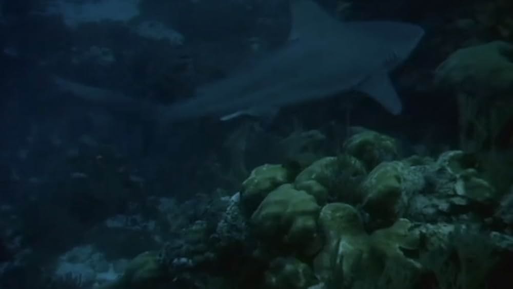 シャーク・ハンターの画像