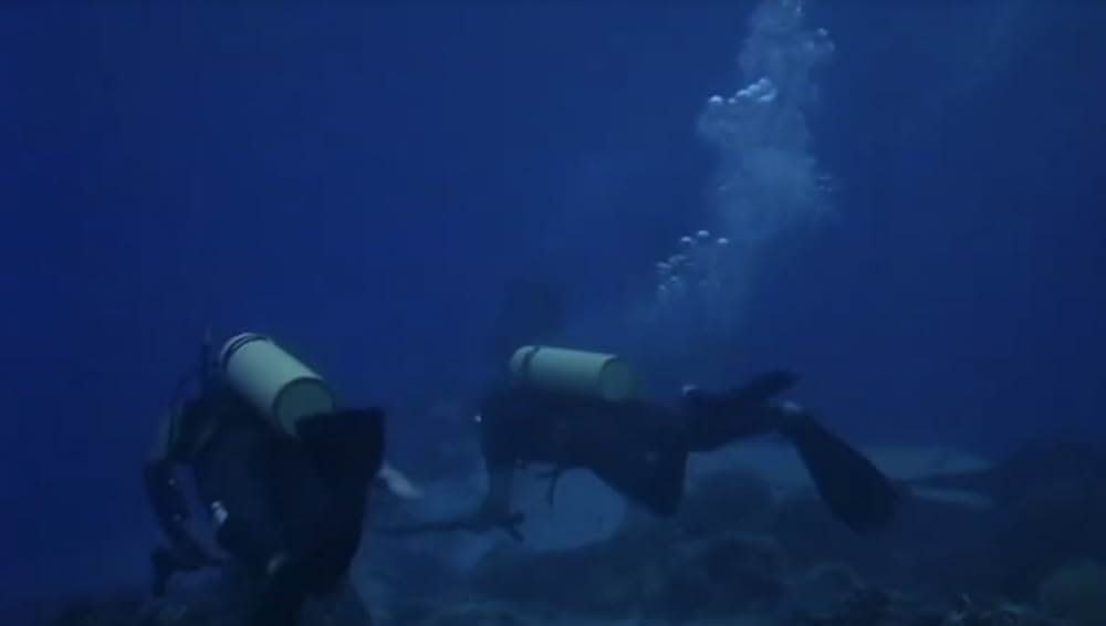 シャーク・ハンターの画像