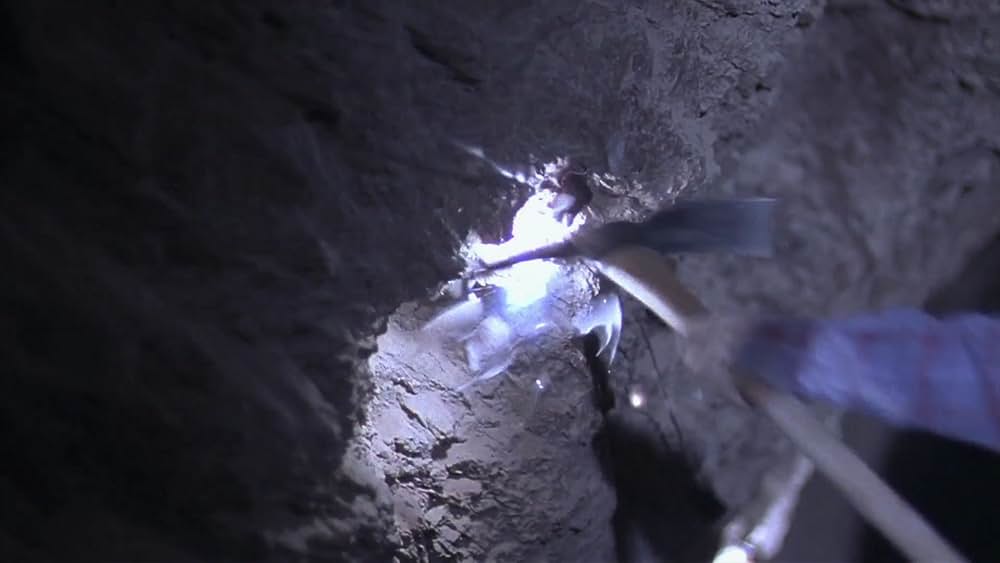 インターメディオの画像