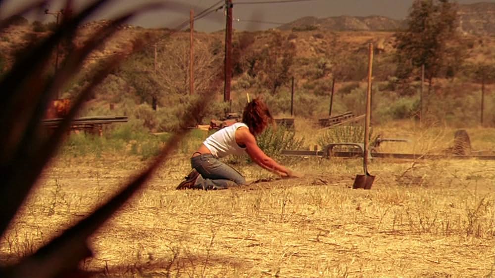 インターメディオの画像