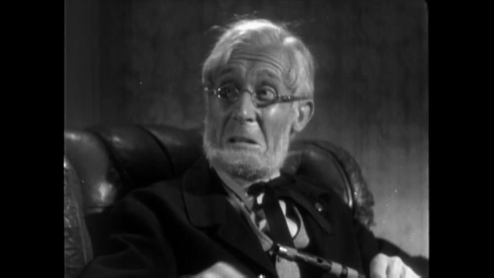 花形証人／都会の世紀末の画像