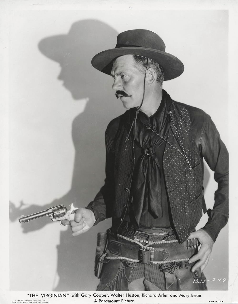 ヴァージニアンの画像