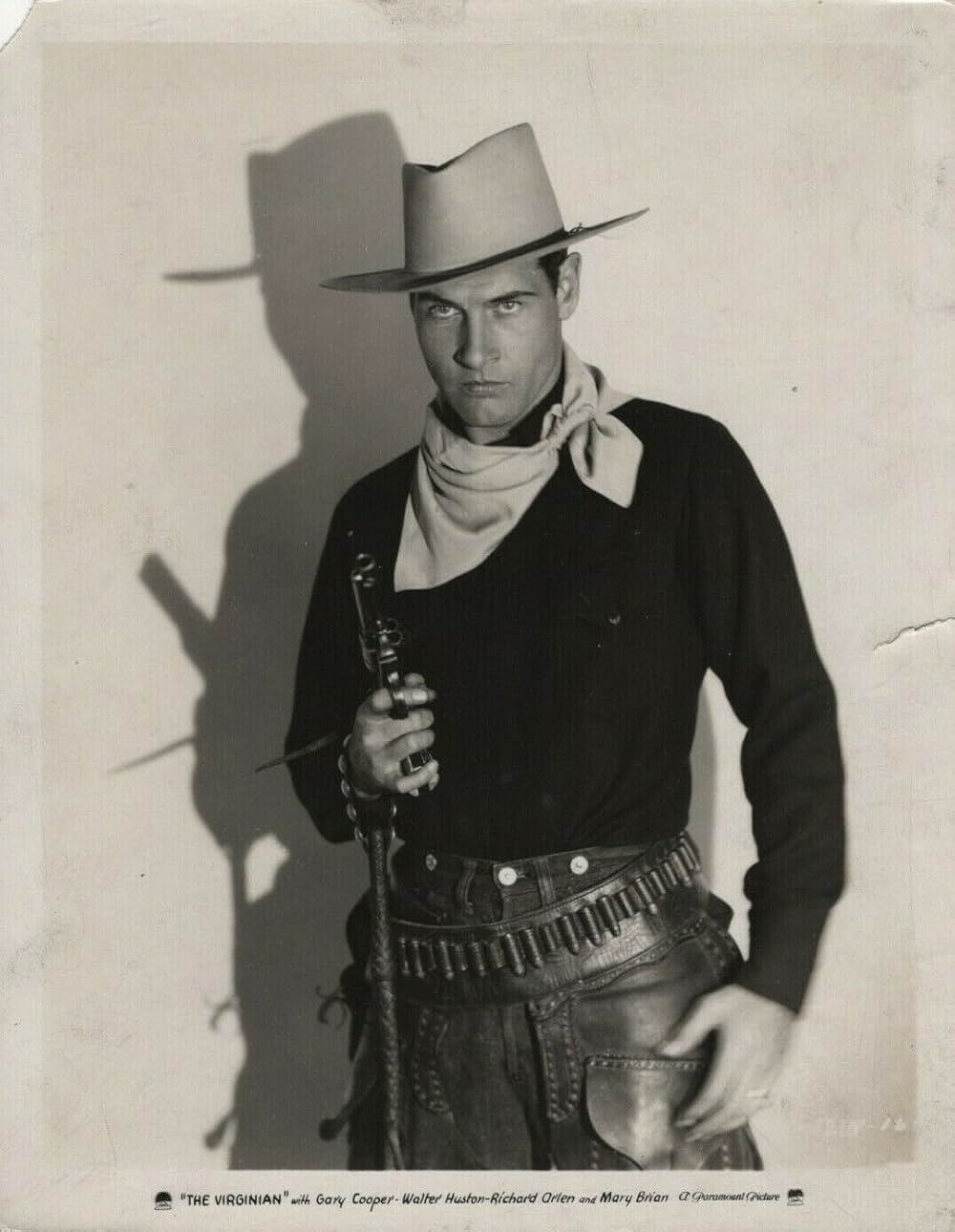 ヴァージニアンの画像