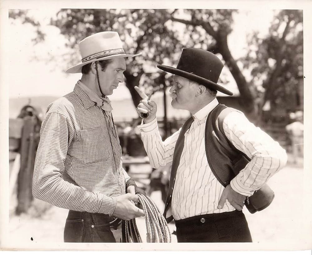 ヴァージニアンの画像