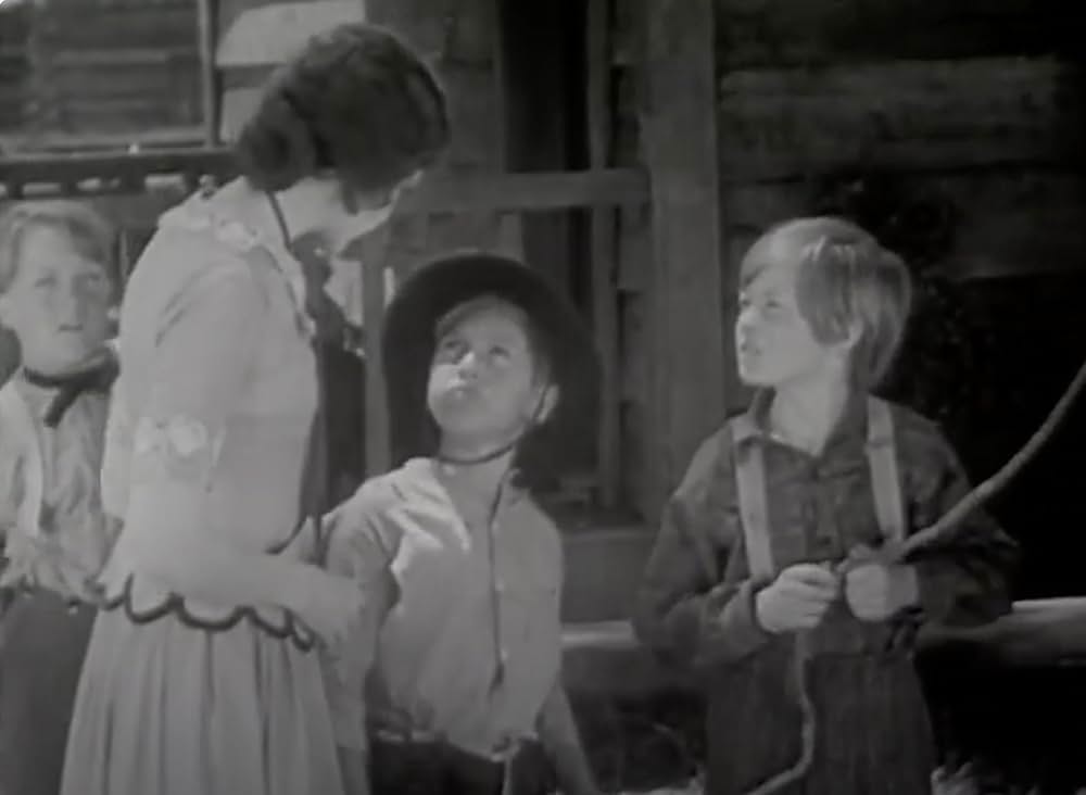 ヴァージニアンの画像